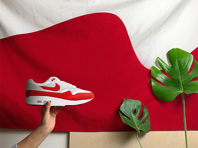 Air Max 1 Flag