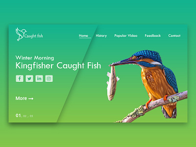 Bird Template design template ui ux web