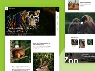 Natural Zoo best shot concept creative discovery discovery channel dribbble best shot landing page landing page design national zoo natural typography zoo