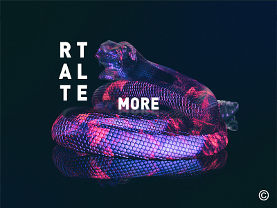 R A T T L E - M O R E (Neon Snake)  II