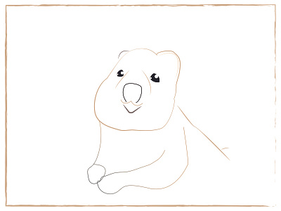 Quokka animal happy illustration illustrator quokka