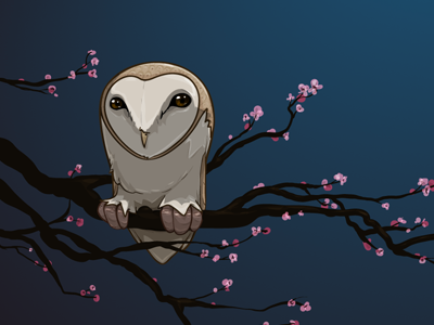 Night Owl drawing illustrator owl vector