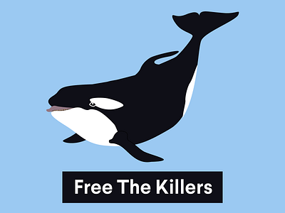 Free The Killers animals black and white compassion dolphins free willy freedom killer whales mammals ocean orca whales sea seaworld