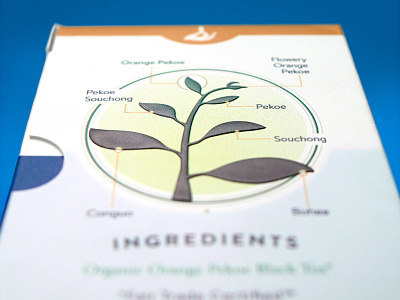 Choice Organic Tea clean natural organic packaging rebrand tea