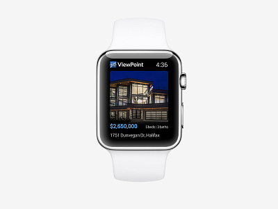 ViewPoint for Apple Watch design watch