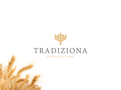 Agriculture Logo agri agriculture brand branddesign branding corporate design farm grains logo logodesign logotype nature typography vector wheat