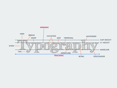 Typography Guide