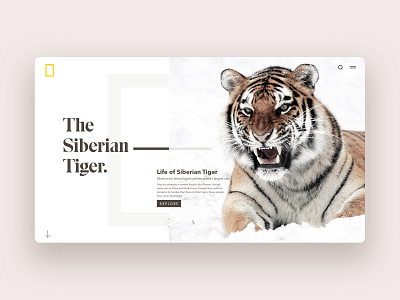 Wild life Landing page design adobe xd animal app home landing page landing page design minimal minimal app tiger ui ux web web page