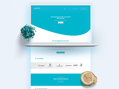 Levity Landing page