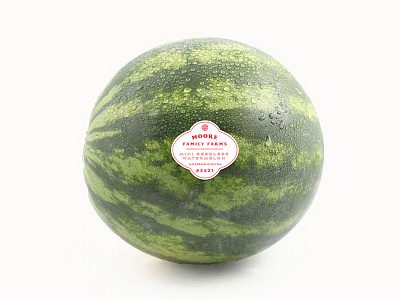 Produce Stickers! brand custom design farm grocery identity logo produce stickers watermelon
