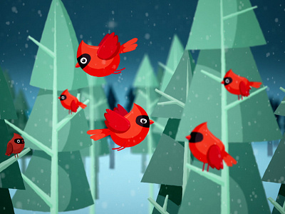 Cardinals birds cardinals winter