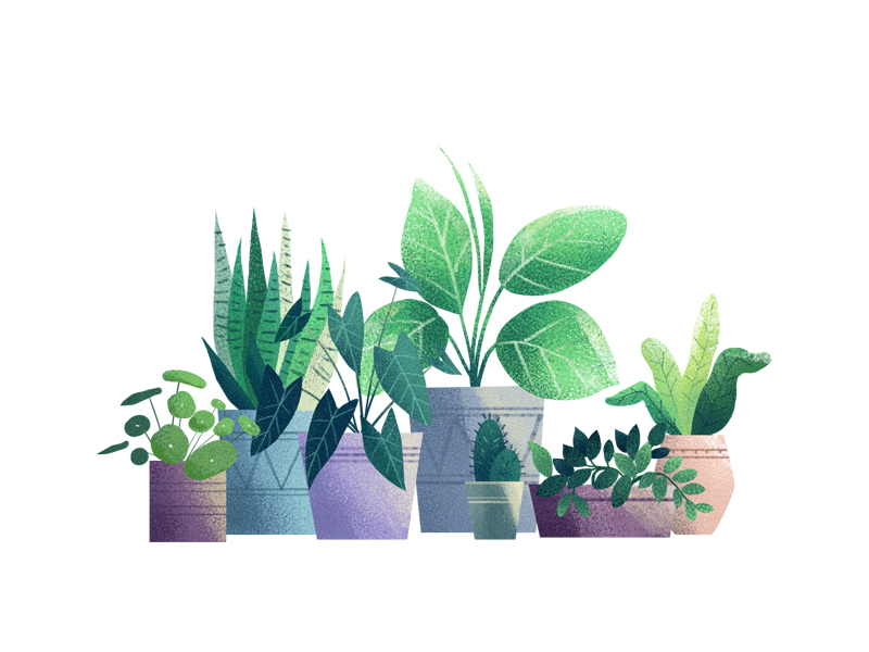 Plants by Tahorin Binta Jaman on Dribbble