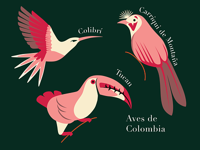 Birds of Colombia 🇨🇴 fashion fashion illustration illustration pijamas vector women