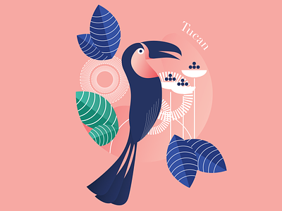 Bird 2 blue fashion fashion illustration pijama pink toucan vector women