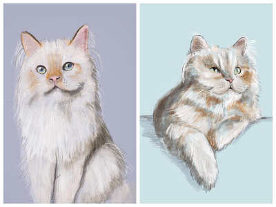 Couple of Cats cats illustration procreate app