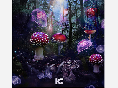 Jelly Shroom Forest