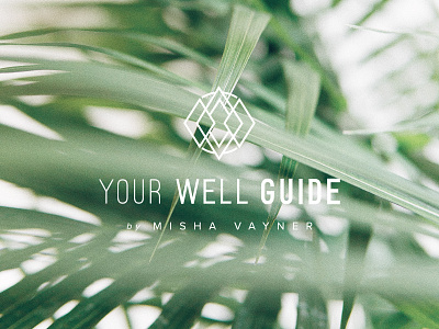Your Well Guide