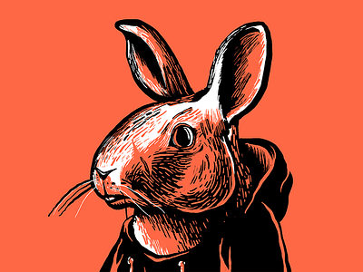 Bunster Bunn art bold bunny color ears fur graphic hair hoodie illustration photoshop portrait rabbit raster