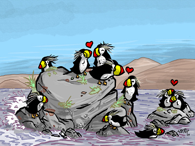 Puffin Rock alaska great land trust illustration puffins valentines