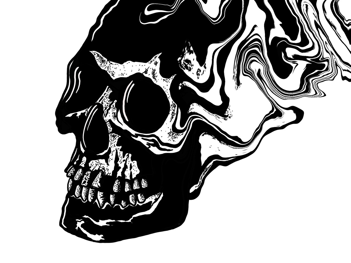 Morphing Skull By Charley Pangus On Dribbble