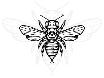 SKULL + BEE bee charleypangus procreate skull