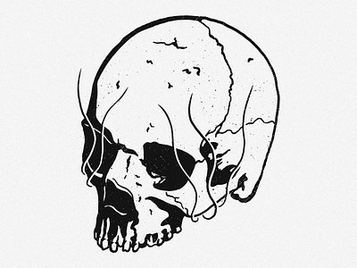 Skull Illustration draw illustration ipadpro logo merchdesgn procreate skull skulls