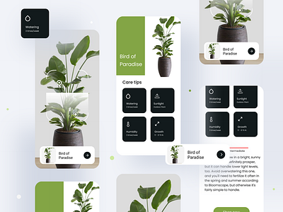 Plant Scan App UI