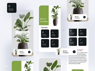 Plant Scan App UI design dribbble best shot dribbble2020 dribbble2021 ios app design mobileappdesign plantapp simpledesign trending trendingui ux uxui