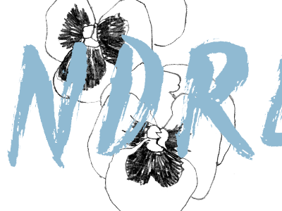 Kindred logo comp botanical brush flowers hand lettering illustration lettering