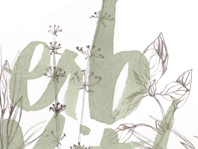 Herb Kitchen full brush food illustration lettering