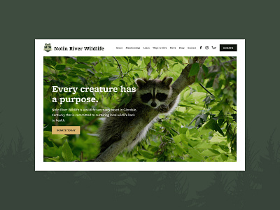 Nolin River Wildlife - Home Screen donation hero image homepage landing page nonprofit racoon sanctuary ui ux website wildlife
