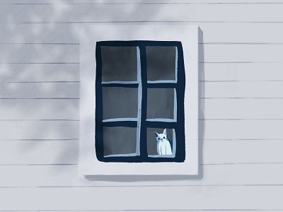 Cat Keeps Watch cat cat kitten illustration shadow window