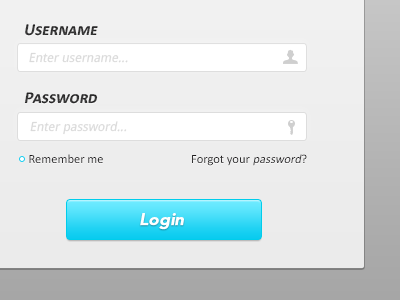 Login Form