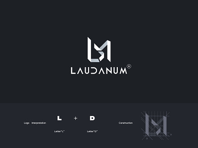 LDM-logo design design logo