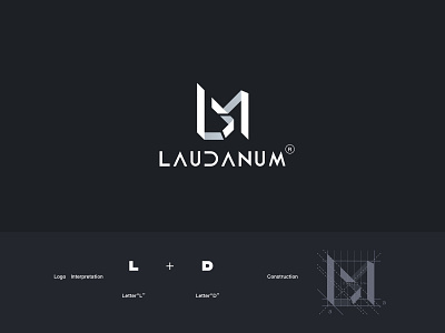 LDM-logo design