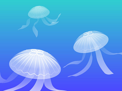 A group of jellyfish jellyfish