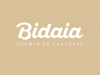 Bidaia logotype baseline beige bidaia brand identity logo logotype map type white