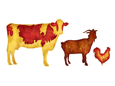 Experimenting w/ Textured Vectors chicken cow farm animals goats moo rooster textured vector