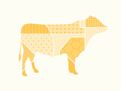 Practice with Pattern cow infograph infographic pattern steer yellow