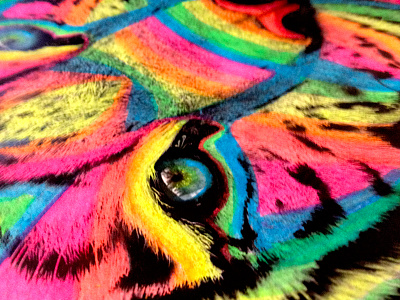 eye of the tiger art colors illustration luna portnoi paint process rainbow wip