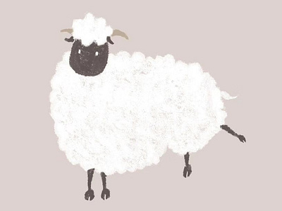 sheep