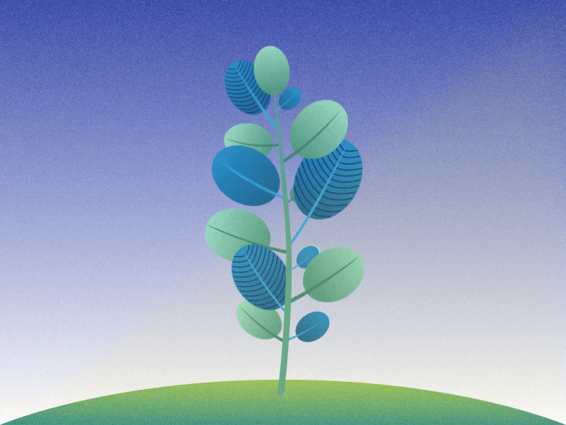 "twilight plant" aftereffects animation animation 2d flatdesign illustration