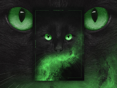 Science Posters - Schrödinger's Cat (Photo Composition)