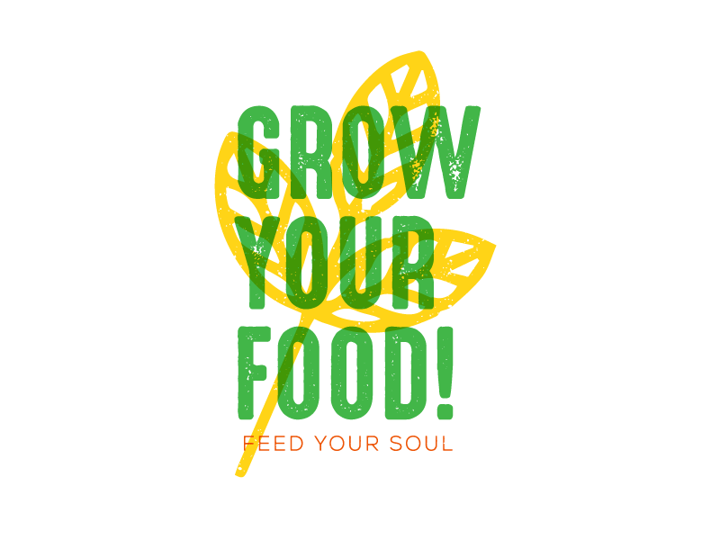 organic market design green vegetables brand plants food organic