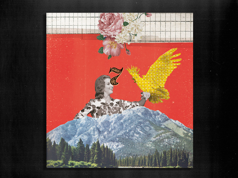 collage illustration flower cut and paste vintage women pines mountain yellow red graphic experimental collage parrot