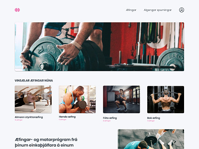 Gym website app gym iceland ui web design website