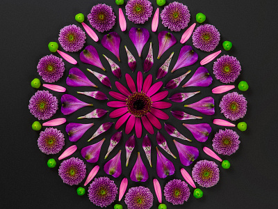 Flower Power brand design flower art graphic design hand crafted kaleidoscope flowers logo design the potting shed visual language website design