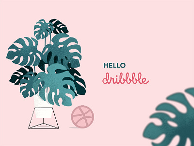 Hello Dribble debut digital illustration dribble first first shot illustration monstera monstera deliciosa pink plants