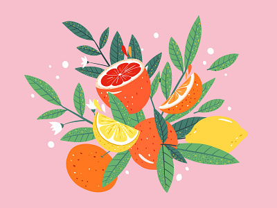 Citrus art art citrus citrus illustration flat food fruts graphic design illustration lemons oranges poster vector