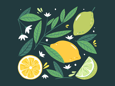 Citrus fruits art citrus citrus illustration design flat food fruts graphic design illustration lemon